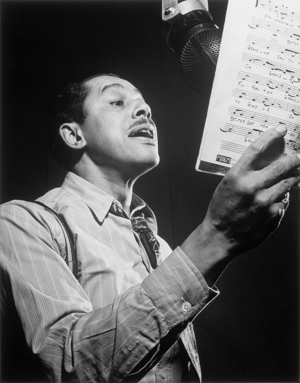 singing, soft palate, music, voice
